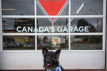 Are Dogs Allowed in Canadian Tire?